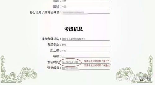 中国音乐学院2017夏季技能考级成绩查询方法及技术咨询指南